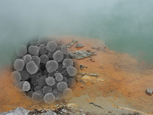 2020-02-26_biofabrik_champagnepool_c_ude_siebers.jpg 2020-02-26_biofabrik_champagnepool_c_ude_siebers.jpg