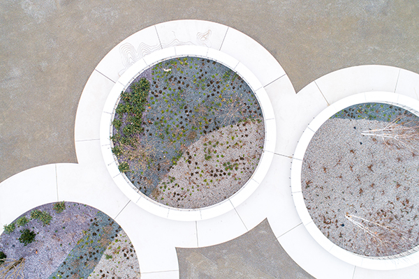 klimaringe_buga_erfurt_sichtbeton_fertigteile_dji_0014.jpg klimaringe_buga_erfurt_sichtbeton_fertigteile_dji_0014.jpg