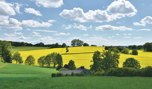 hügelige Landschaft mit Feldern und Bäumen