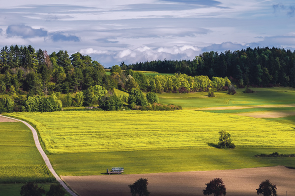 Landschaft mit Feldern und Wald