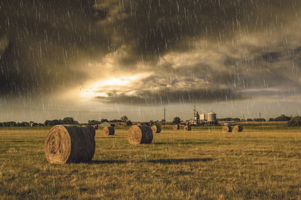 Strohballen auf einem Feld bei Regen