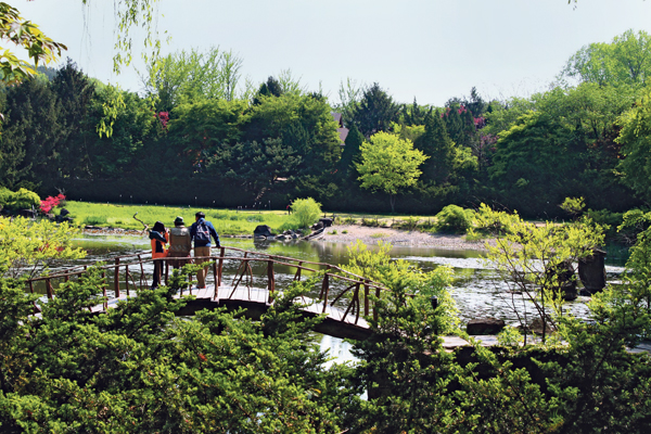 grüne Landschaft mit drei Menschen auf einer Brücke