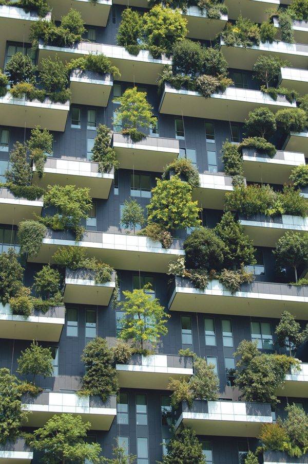 Gebäude Fassade Pflanzenwände vertikale Gärten