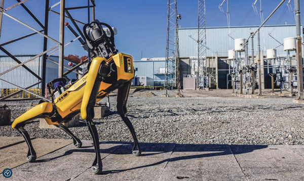 Roboter Hund Bahn Gleise