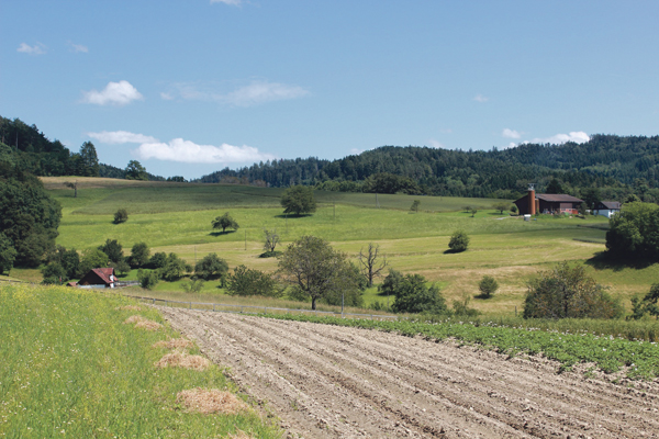 Landwirtschaft Land Haus Hütte Bäume Feld