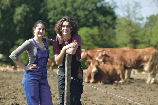 Landwirte auf einer Kuhweide