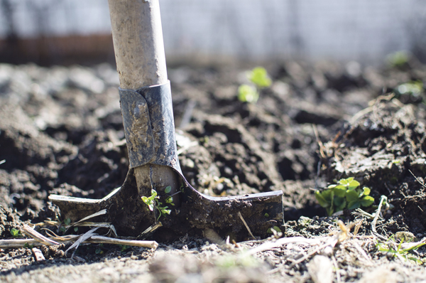 Gartenbau Schaufel Werkzeug Erde