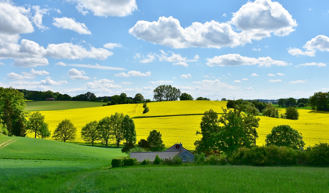 Landschaft Landwirtschaft Felder Bäume Wiese Grün Pflanzen 