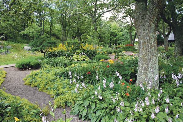 Gartenbau Garten Grün Bäume Büsche 