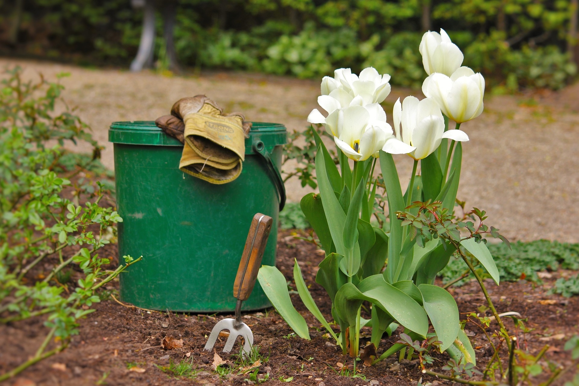 Gartenarbeit Blume Garten Eimer Handschuh