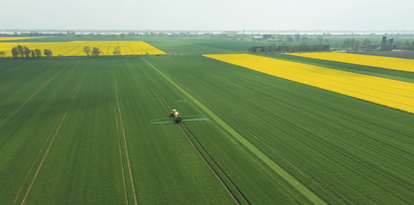 Landwirtschaft Felder Feld Grün Gelb Bäume Pflanzen