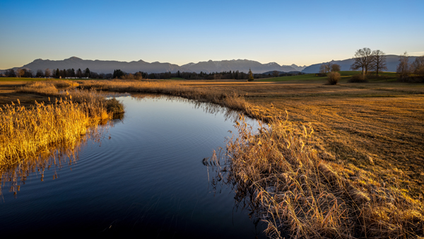 Fluss Fluss Wasser Gewässer Grün Wiese Landschaft