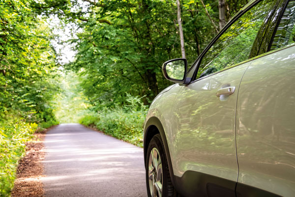Verkehr Verkehr Auto Staße Allee