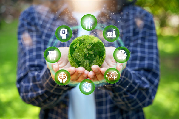 SPIN-FERT: Europäisches Projekt für torffreie Gartenbauprodukte fördert nachhaltige Bodenpflege
