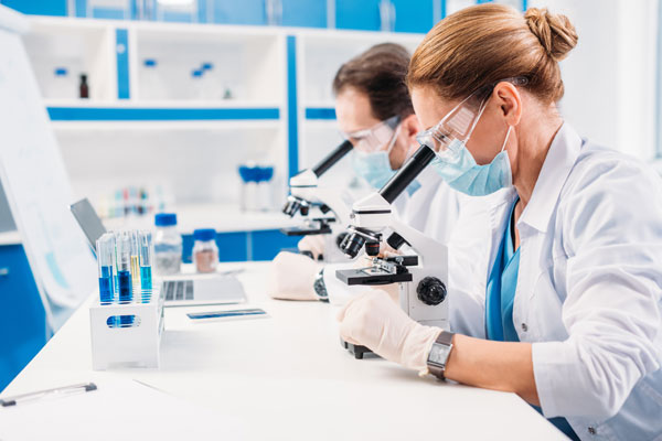 Biotechnologie Fraunhofer FEP führt bei der Entwicklung klimaneutraler Baustoffe durch innovative Biotechnologie