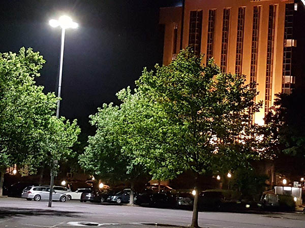 20170629_000729_3.jpg 20170629_000729_3.jpg