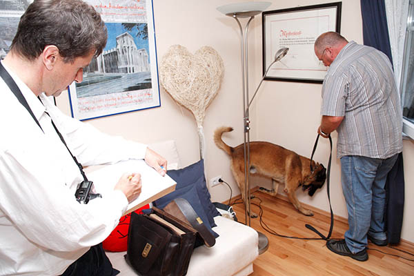VPB-Foto_Schimmelhund.jpg VPB-Foto_Schimmelhund.jpg
