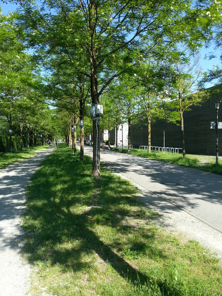 csm_180423_Lehrer-Wirth-Strasse-one-of-the-experimental-street-canyons-with-black-locust-trees_41ed163b95.jpg