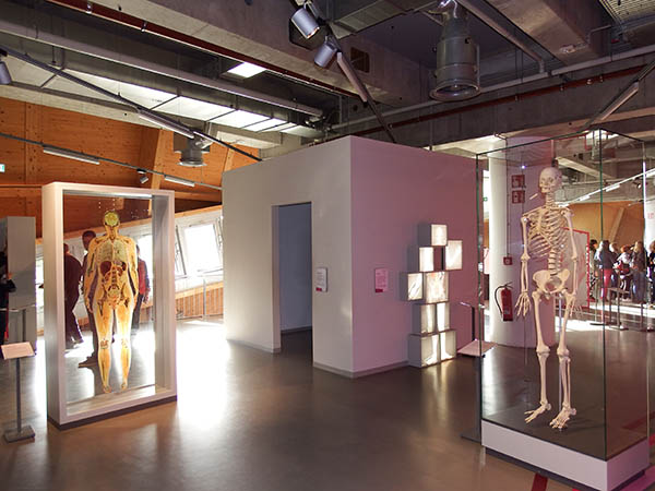 Universum Bremen-11.JPG Universum Bremen-11.JPG