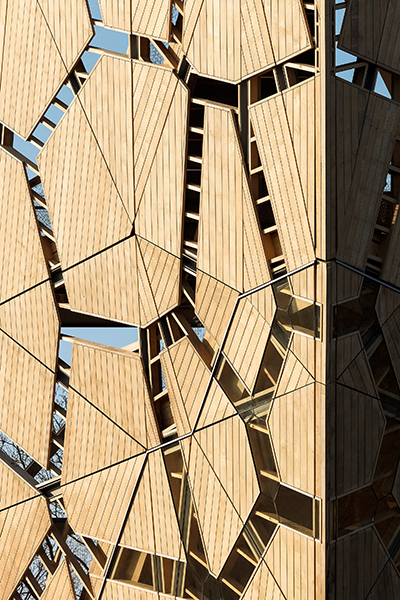 accoya-pompejus-detail.jpg accoya-pompejus-detail.jpg