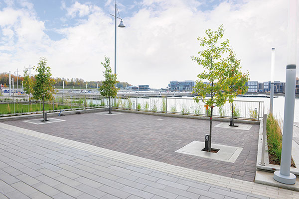 RichardBrink_Friday-Harbour_07.jpg RichardBrink_Friday-Harbour_07.jpg