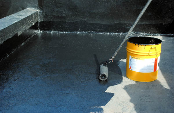 Sika_05.jpg Sika_05.jpg