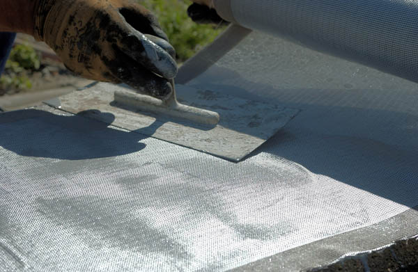 Sika_11.jpg Sika_11.jpg