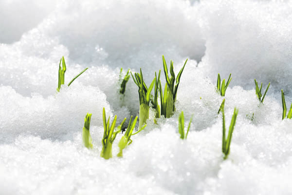 schnee.jpg schnee.jpg