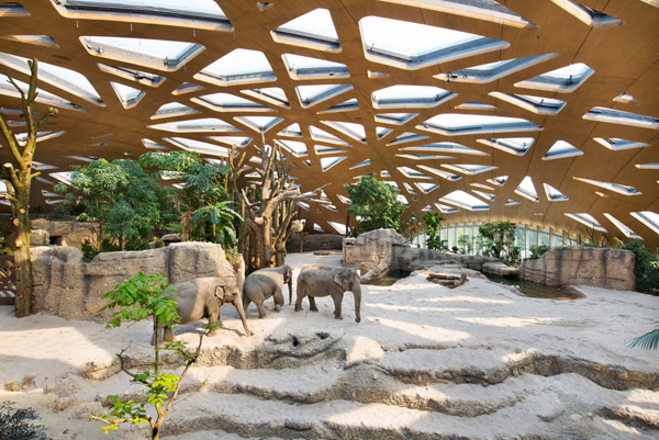 Kaeng Krachan Elefantenpark innen low.jpg