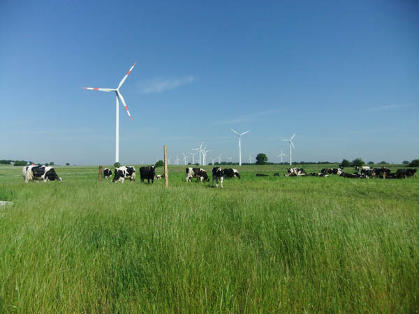 Windpark Wenger-Rosenau.jpg Windpark Wenger-Rosenau.jpg