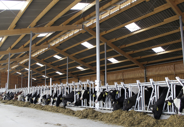 15-04 Landwirtschaft.jpg 15-04 Landwirtschaft.jpg