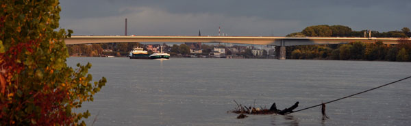 Schiersteiner BrÃ¼cke-online.jpg