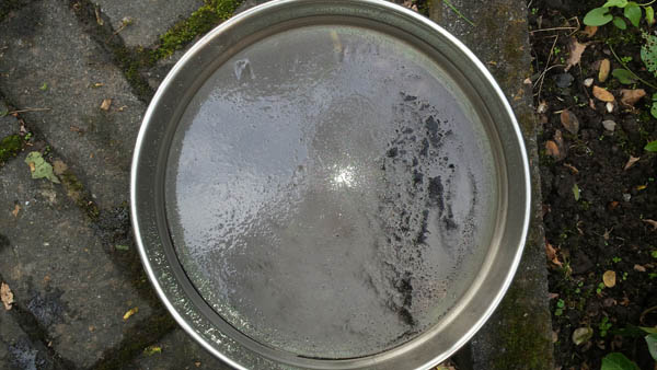 capraribrunnenmangan2.jpg capraribrunnenmangan2.jpg
