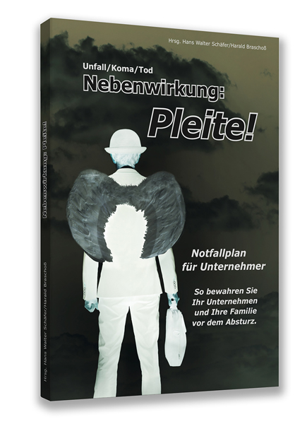 schaeferpleitecover.jpg