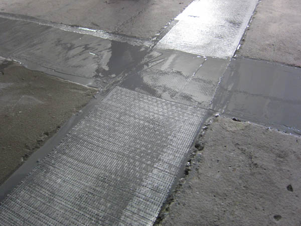 Sika-12_web.jpg Sika-12_web.jpg