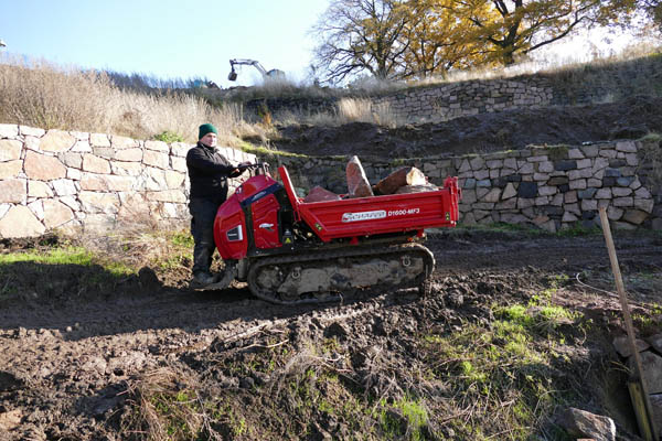 1 Schäfer D1600-MF3.JPG 1 Schäfer D1600-MF3.JPG