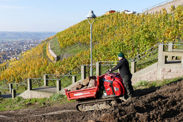 2 Schäfer D1600-MF3.JPG 2 Schäfer D1600-MF3.JPG