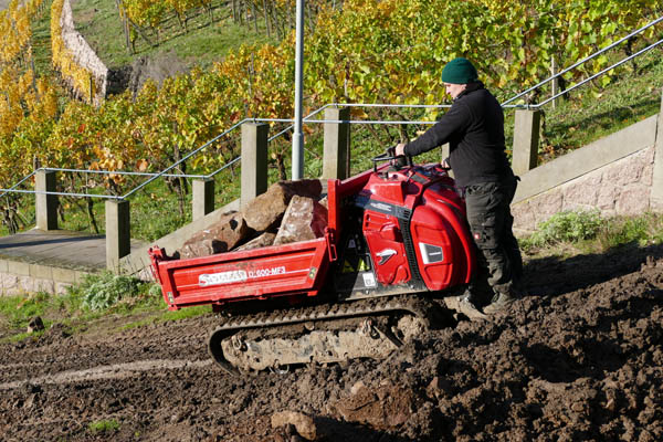 3 Schäfer D1600-MF3.JPG 3 Schäfer D1600-MF3.JPG