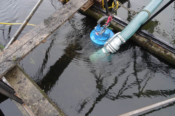 tsurumiaquamarpumpe.jpg tsurumiaquamarpumpe.jpg