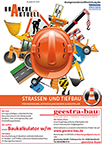 Branche Aktuell, Ausgabe 01/2018 - Strassen- und Tiefbau